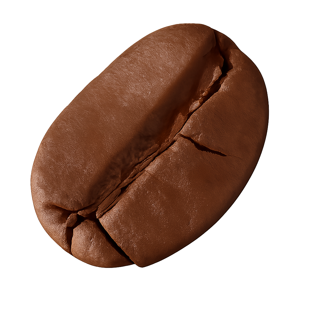 Chicco di caffè premium